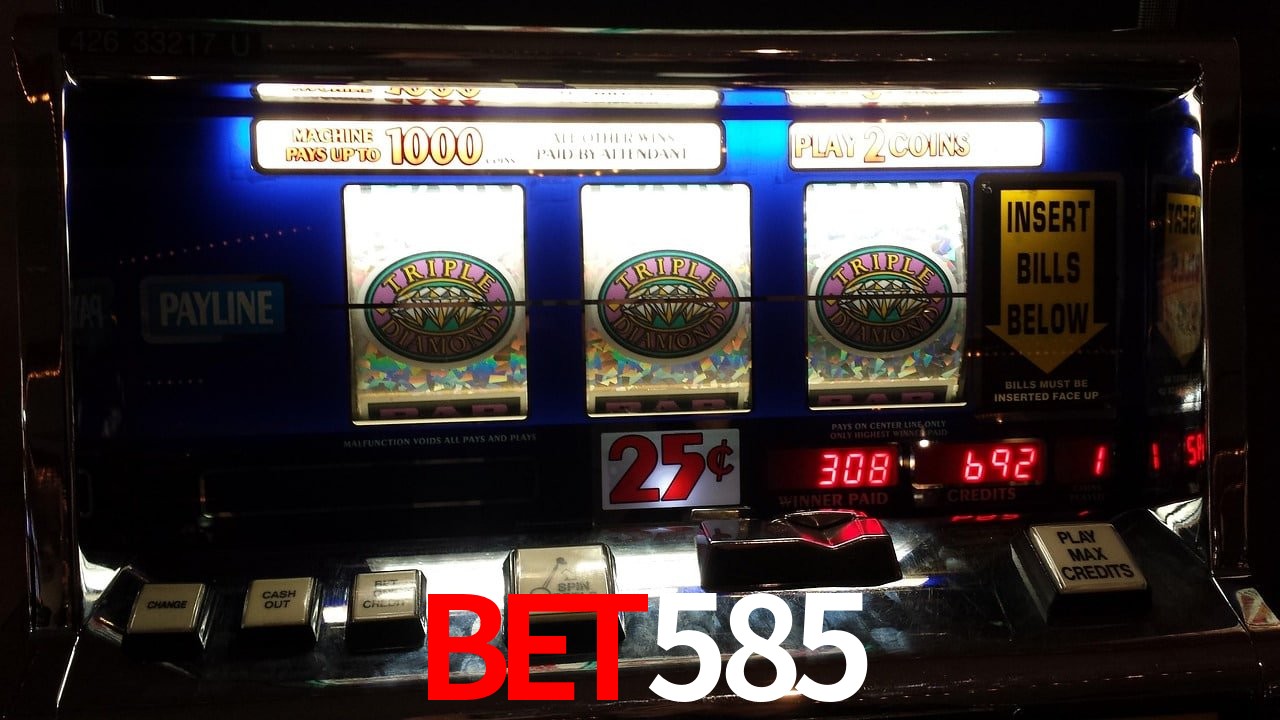 Sports Statistics bet585